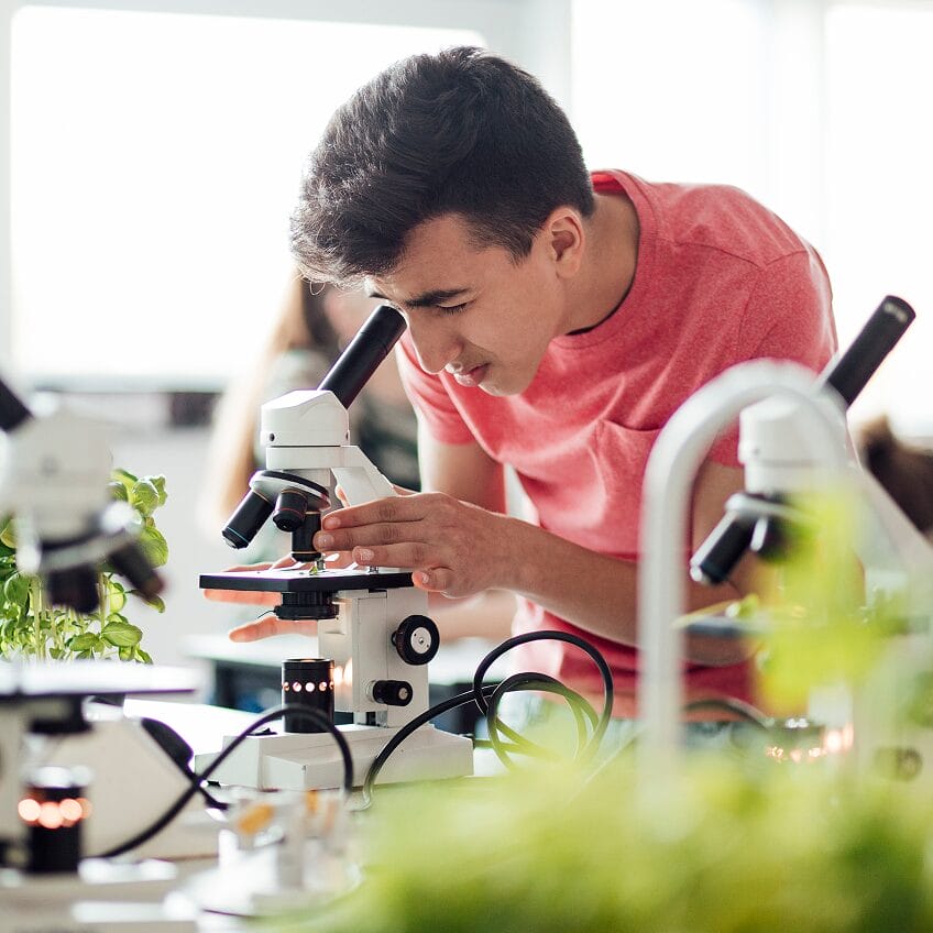 Student examines a plant sample through a microscope in a science lab, surrounded by lab equipment and greenery.